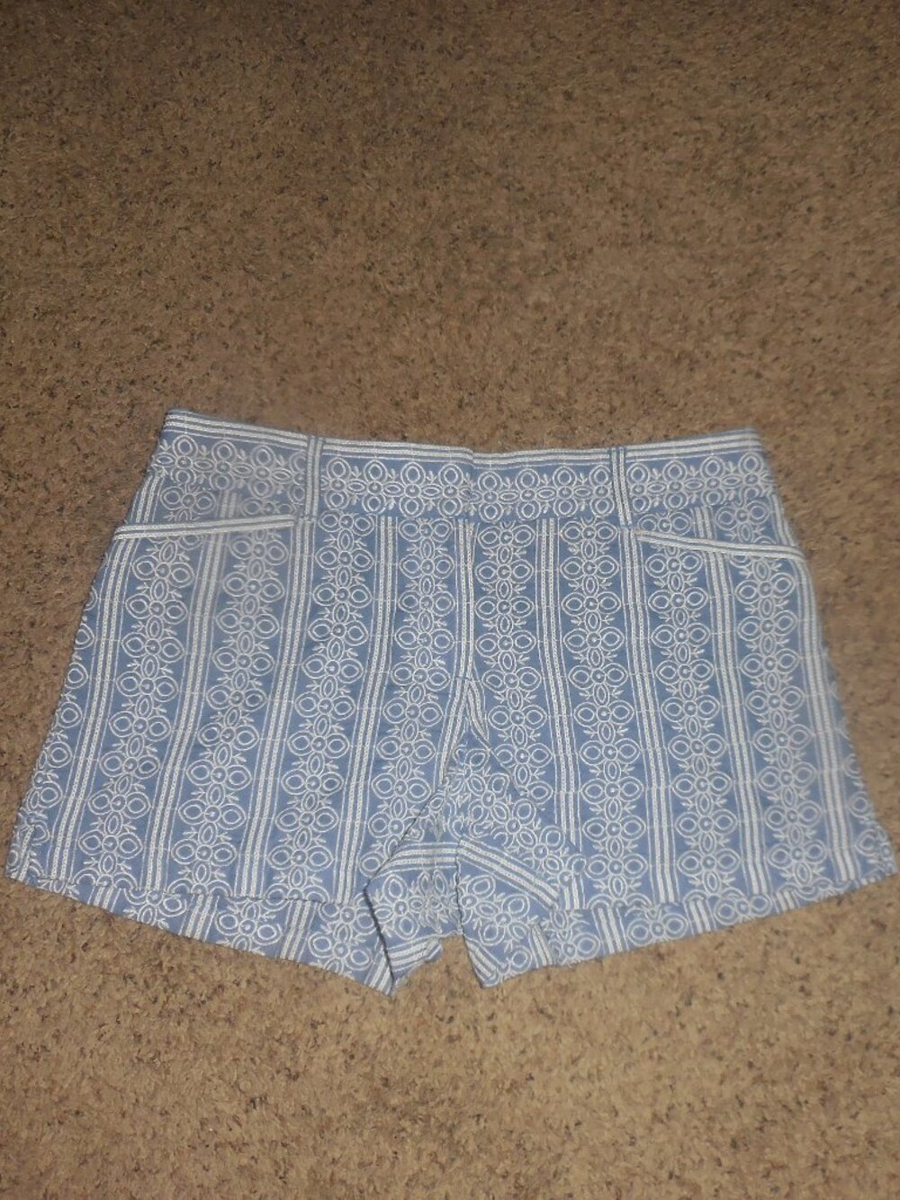 Ann Taylor LOFT Blue Embroidered Shorts Rivera 6